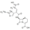 Ceftibuten Labeled 13C3,15N2  (Mixture of geometrical isomers)